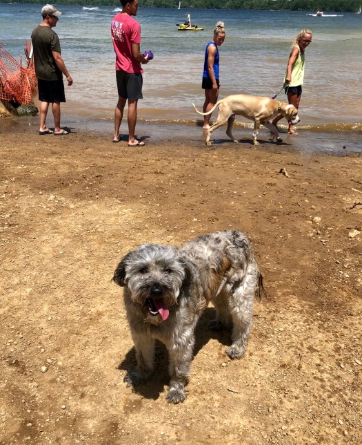 CF252AC5-BA80-4DCC-8059-26E811A1F332