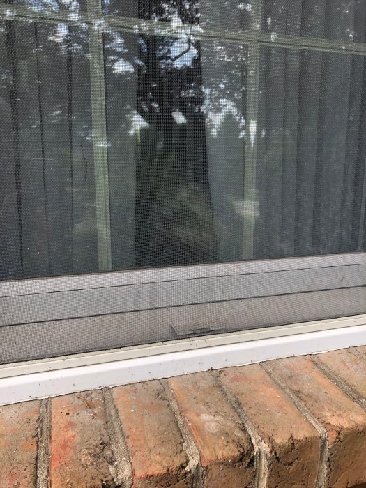 D0FA16F4-B171-461B-A143-6CFF7EA54EEA