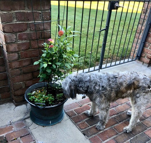 D6DCAD39-97D4-4892-9496-6BF3728C476B