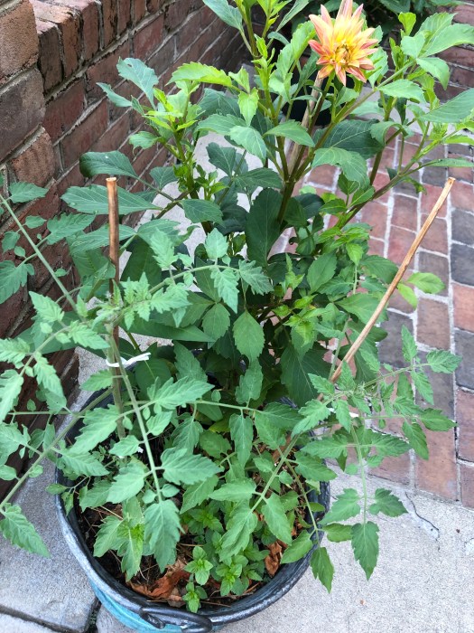 D822EAF6-388C-4480-AAF7-EF098CFC7D9E