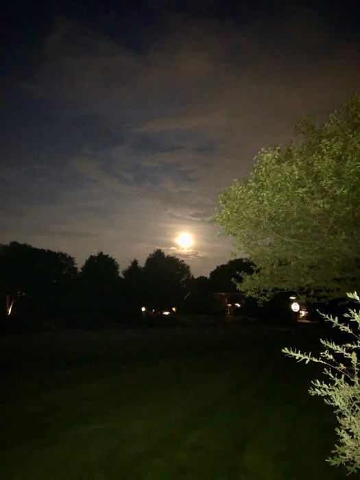 DF835A4D-EBED-45EC-A702-AEF1C73FA39F