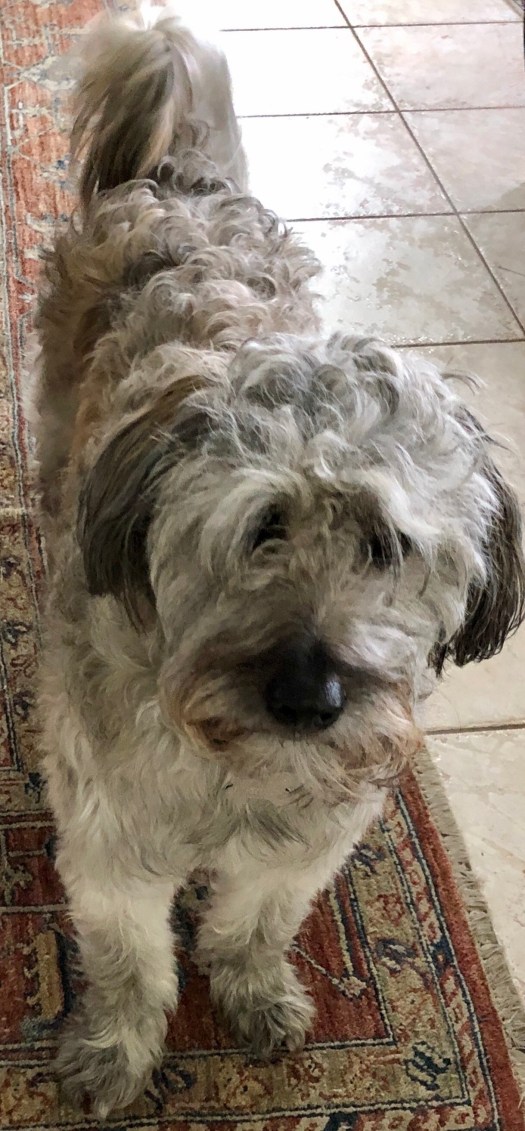 E148CDE3-72BF-44D6-B81F-9A3EE9D0A151