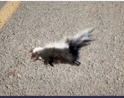 E3DC14E8-F184-4A95-84DF-6C19E3A059F1