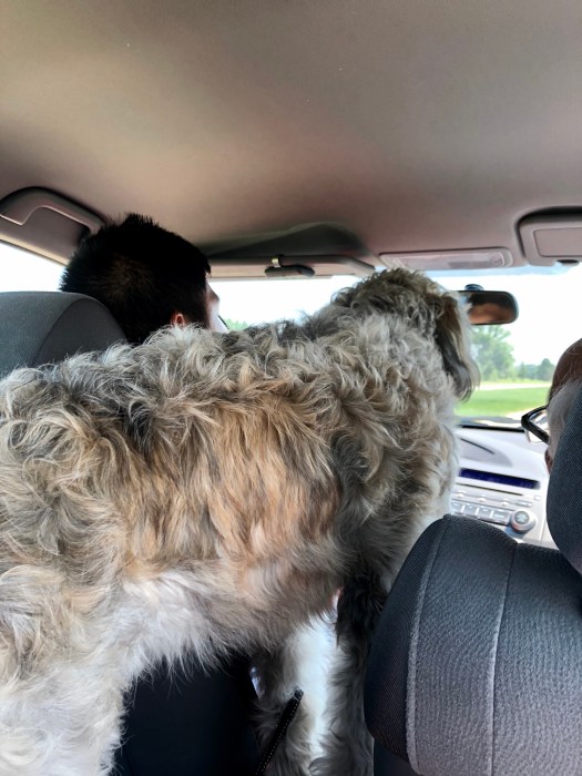 EA59DD30-0E02-4DCD-8656-0B924991DC36