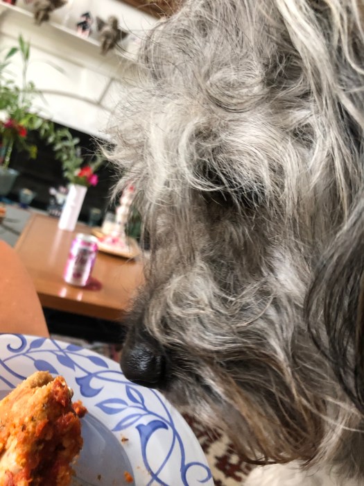 EE0DE1AD-E059-425B-827E-625EF70C96C9