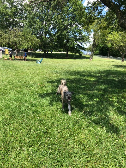 F120BF67-616C-442C-A20C-2DD07DFB450E