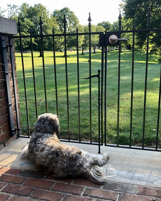 F2060B79-DEF8-4F2F-94F3-17E0C4005100