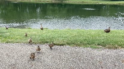 F7E69A39-0E40-48EF-B636-1703D45057CD