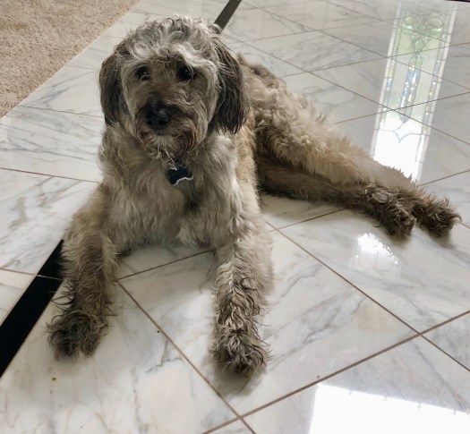 F929C7F9-78DD-49BA-848B-8F52995F72B6