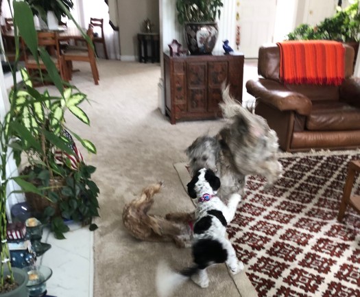 04C2D2BB-FAFC-44E9-B312-026125AAED54