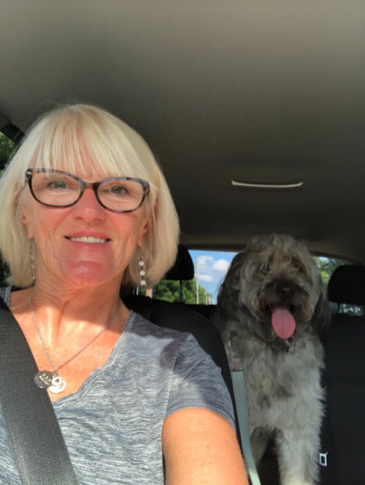 0696DD62-399B-48B1-A2CD-ACE65018825B