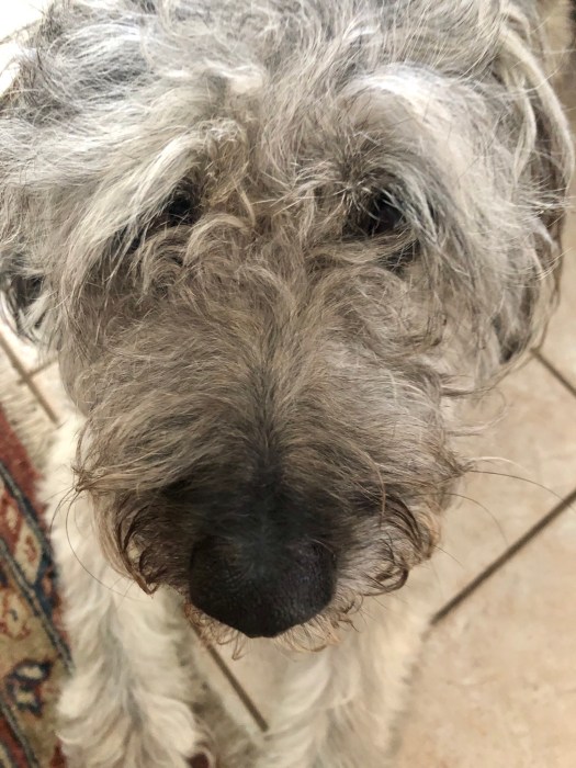 0A2D031B-91E2-43C8-BFCD-3F6E8C054166