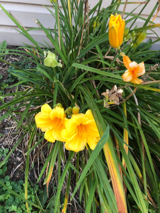 15B2ECFD-45CA-4AF8-9865-A665D41408C0