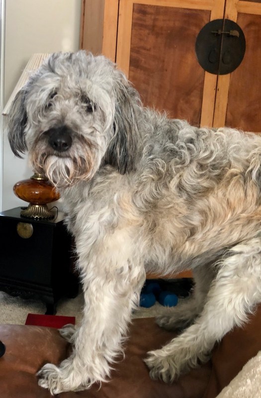 15DAE7C2-D3AD-437C-AD1B-EC71184B6D06