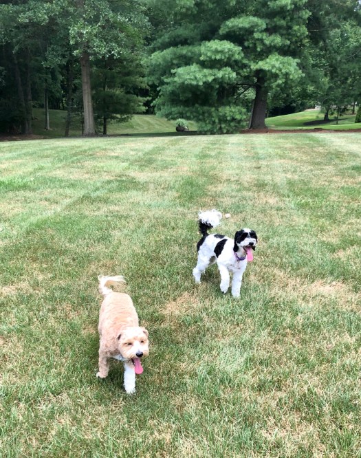 24C3D9FB-7F9E-41E8-86D8-5D8B4000E601