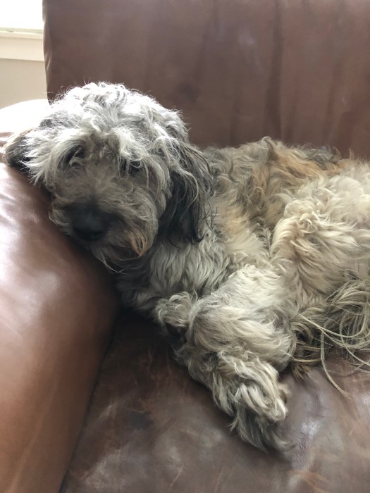 2C09E411-EDE9-4663-806A-A627139D1A7C