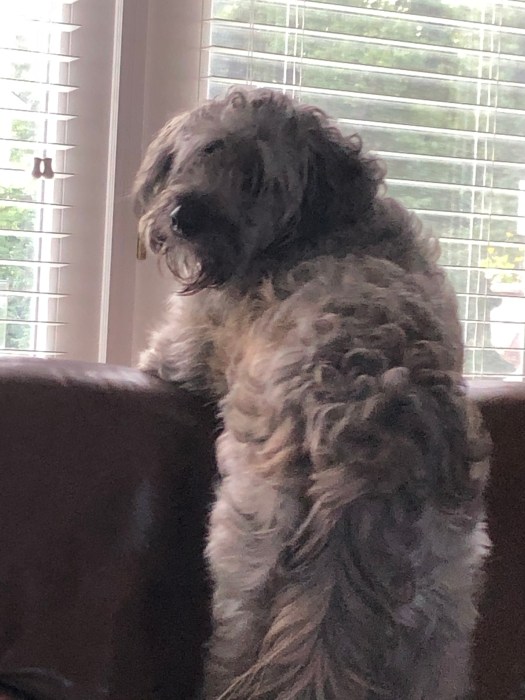 61963914-B613-462F-89BA-F0F7E6160179