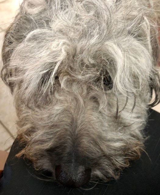 843D605E-3A65-4B83-A097-1C52858CACD1