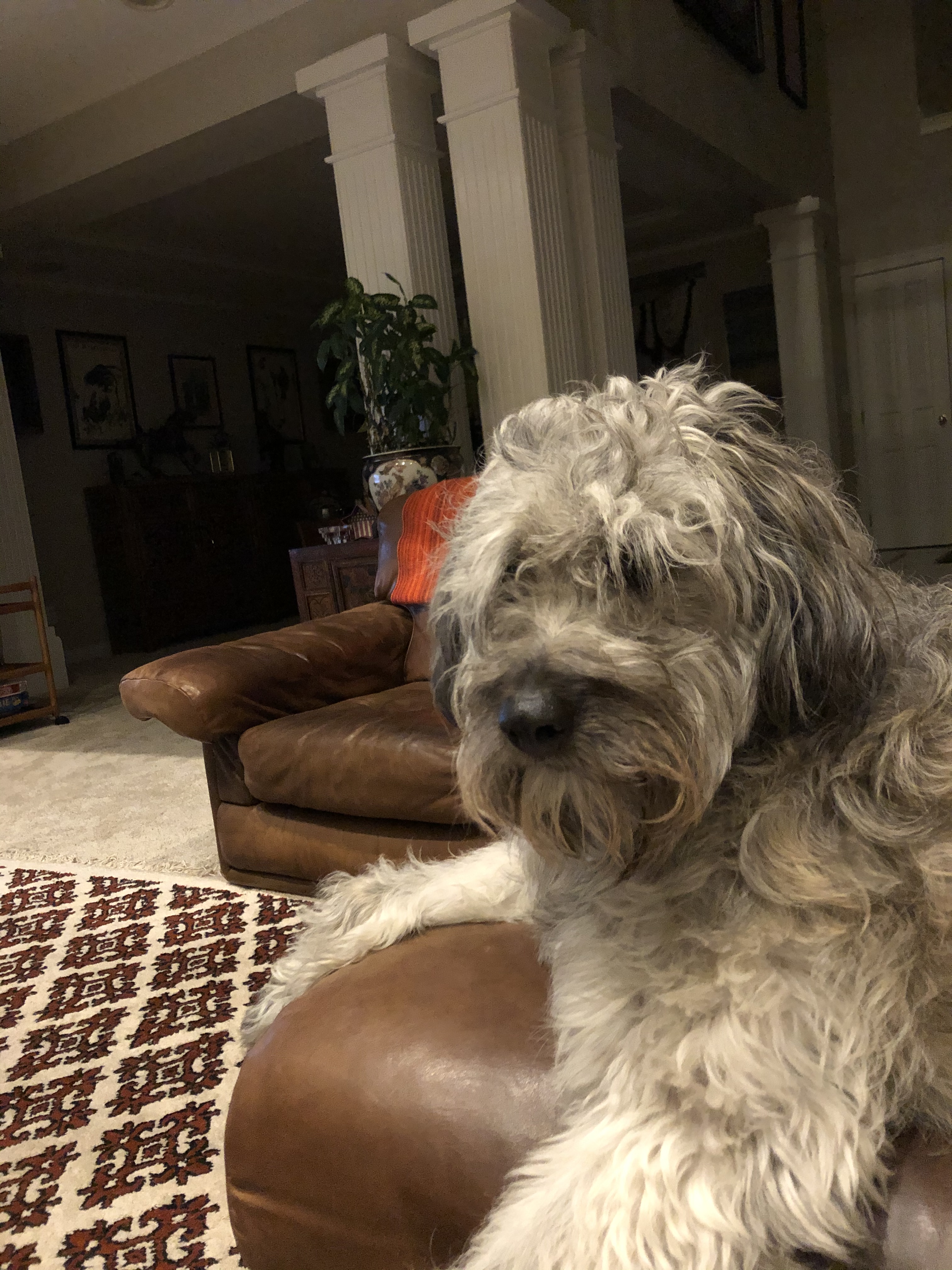 90413DB5-107B-47B4-B18C-05A45B9C2628