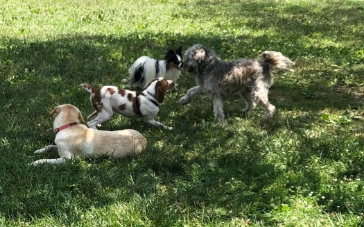 A2774433-8773-4644-9F85-C96B3838D6E5