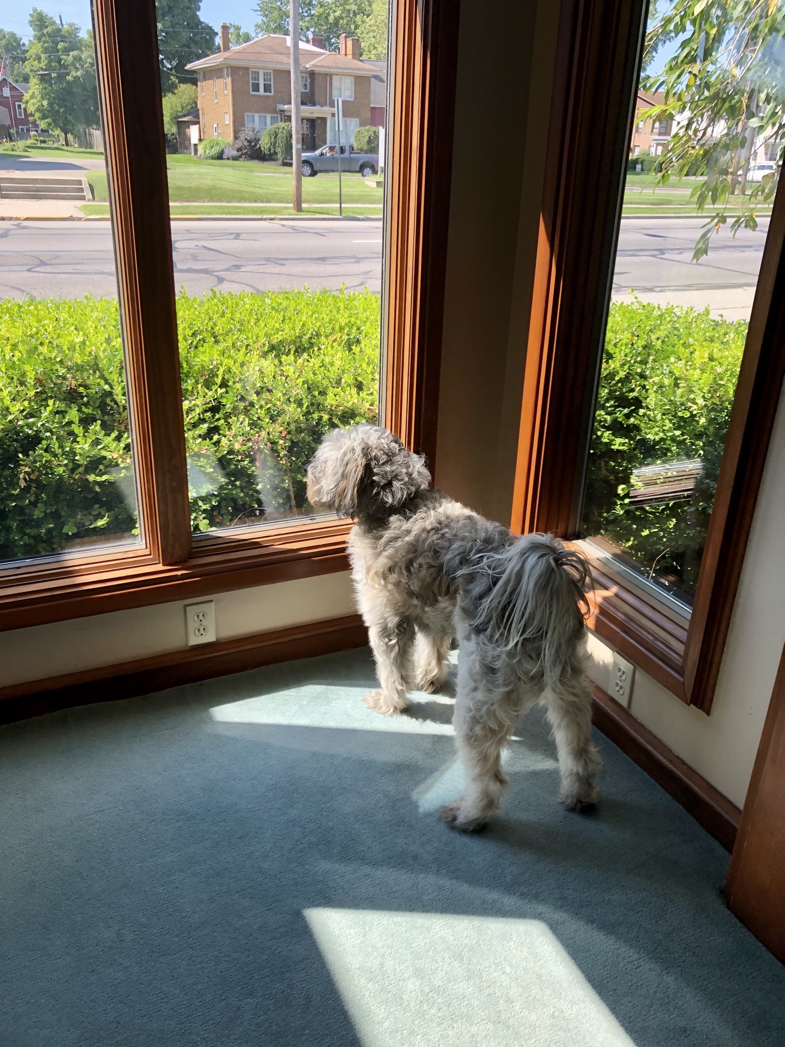 A2F46D02-0130-453B-A398-F03E4CA3C78B