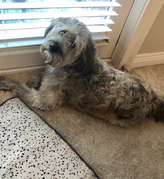 B8004D7E-1F3B-4A8C-A3F6-7CFD0A3A39B1