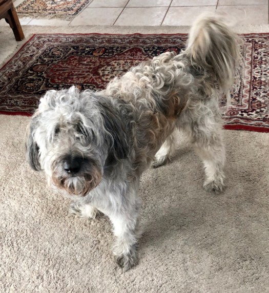 BBFA57B1-BD1E-4298-A87F-78EC7E2C44E7