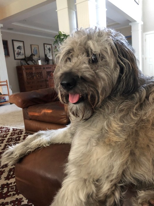 BE74B5C8-45AA-40EE-AEB5-50C3C0EACEDF