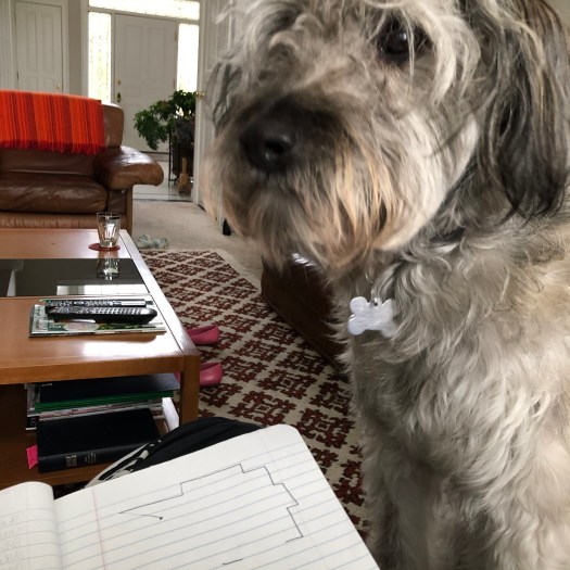 C2629B56-07C7-4753-AAD8-09263B91954B