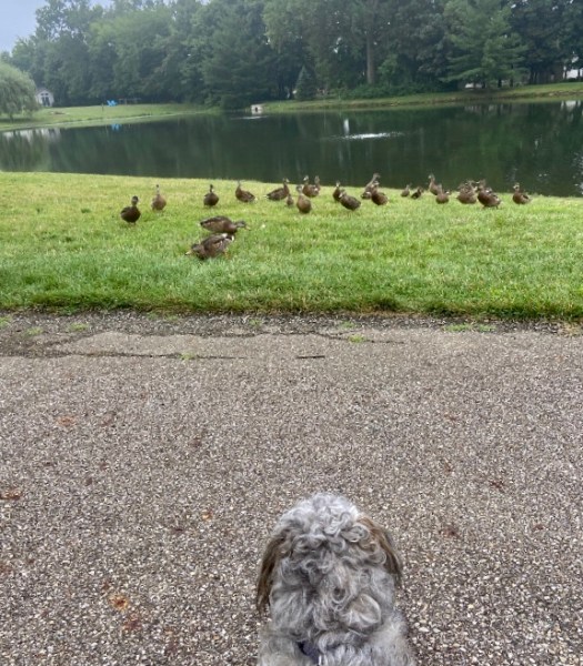 C5A655C5-853F-4FCA-B4E0-7BEE2E595160