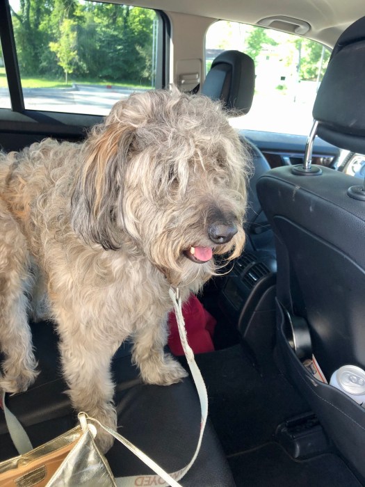 E21403A0-3E12-4633-A856-F6D9FBAFA998