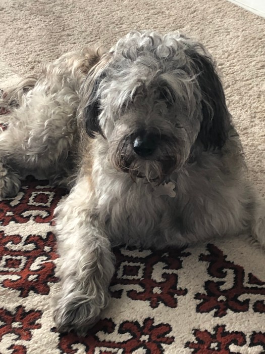 F24B1247-BFAC-4A79-8093-EC4B840CE67D