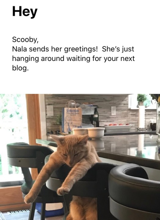 F29E5FED-0545-47F6-9A76-946B6BC2BD7C