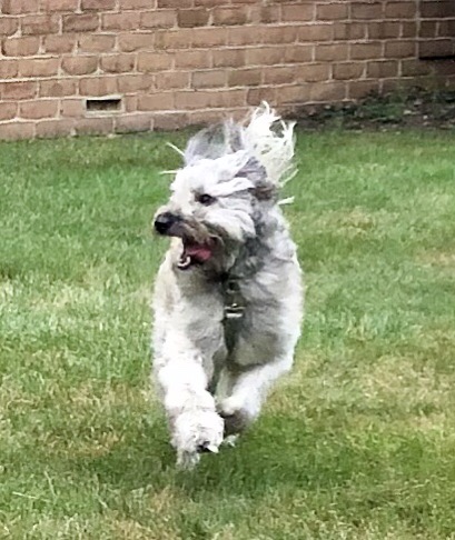 F3FE2C52-7617-4F2B-83DD-757753C34F4E