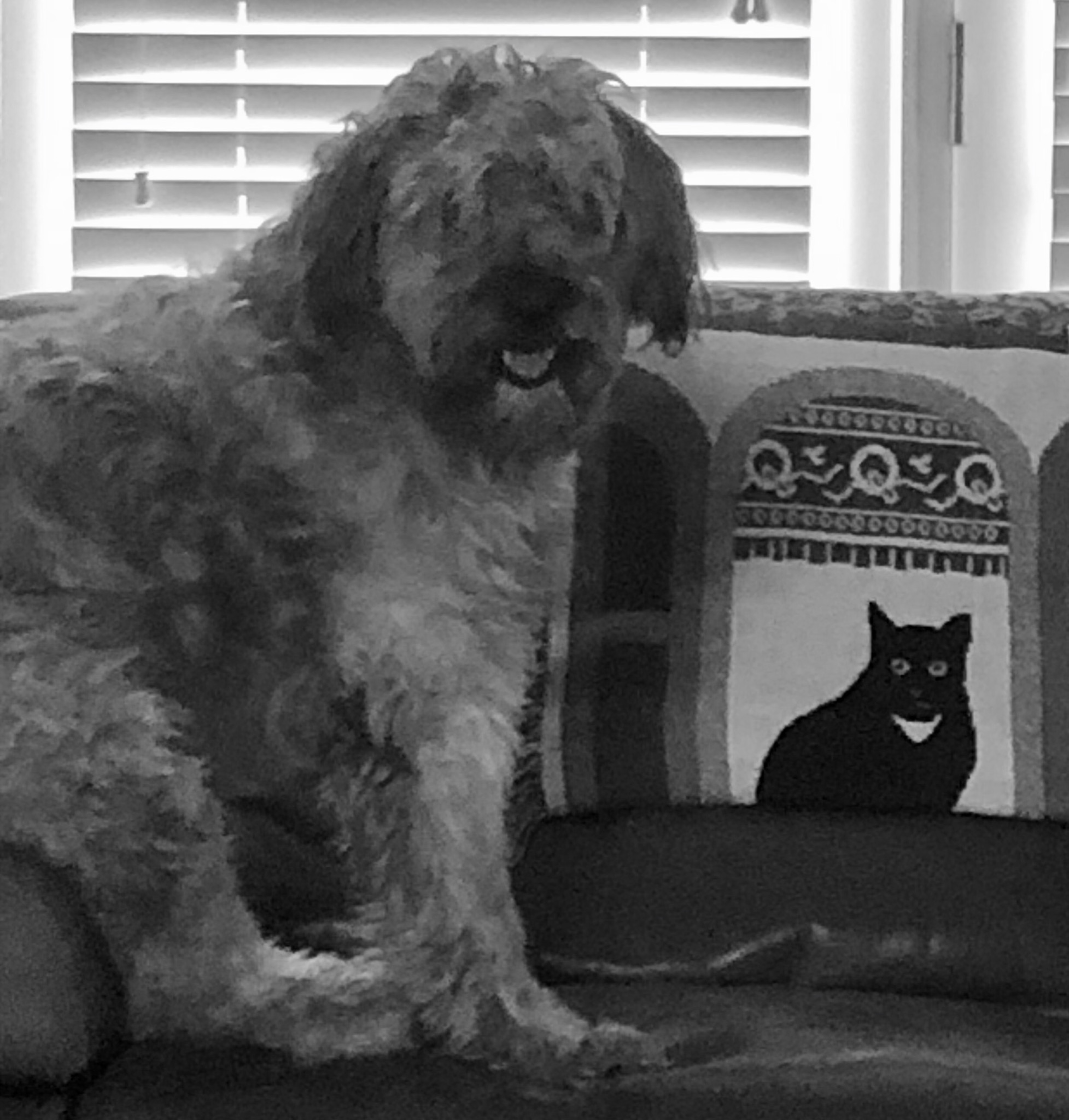 F546BF9E-F431-432C-AE0D-395490C09400